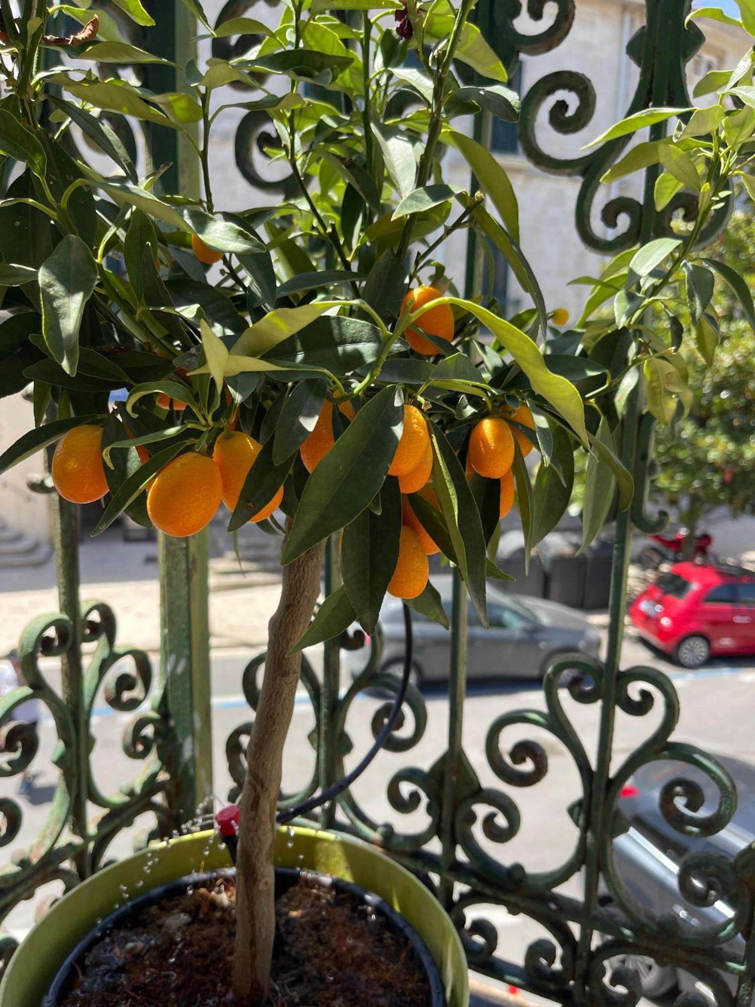 Appartamento La Dimora Di Annika Oria  Esterno foto